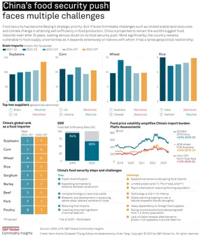 The Challenges and Opportunities of Chinese Food Delivery: A Comprehensive Guide